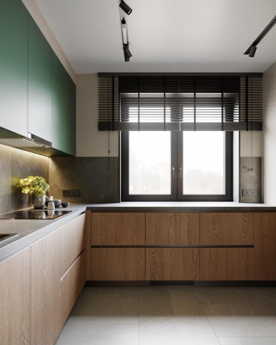 Кухня «Саламон»