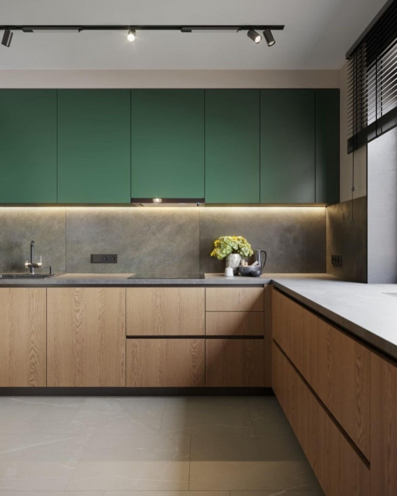 Кухня «Саламон»